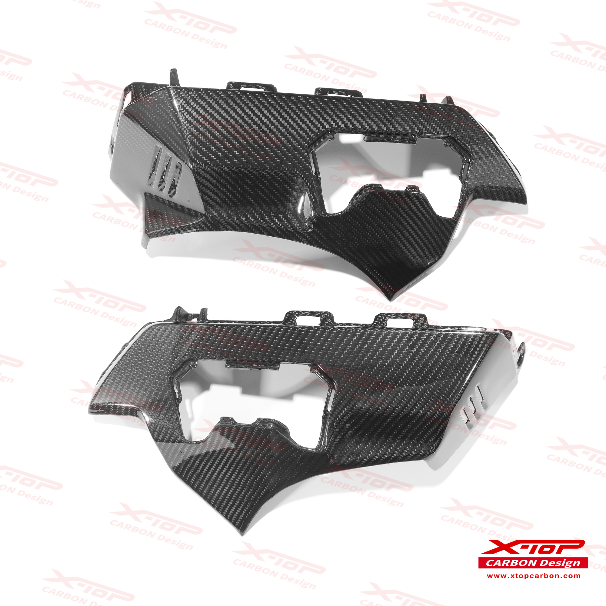 X-TOPカーボンエンジンサイドカバー GOLDWING