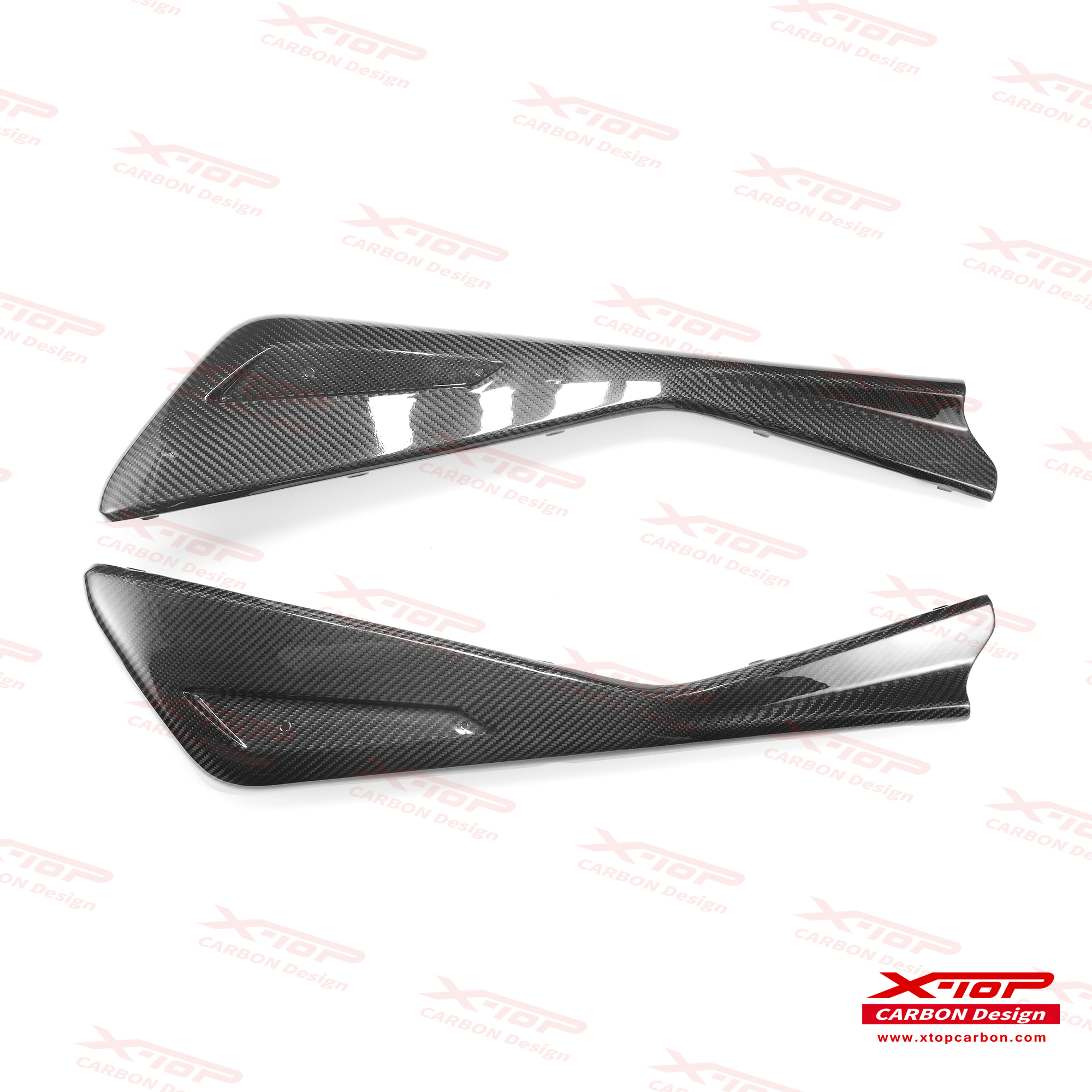 X-TOPカーボンサイドケースガード GOLDWING