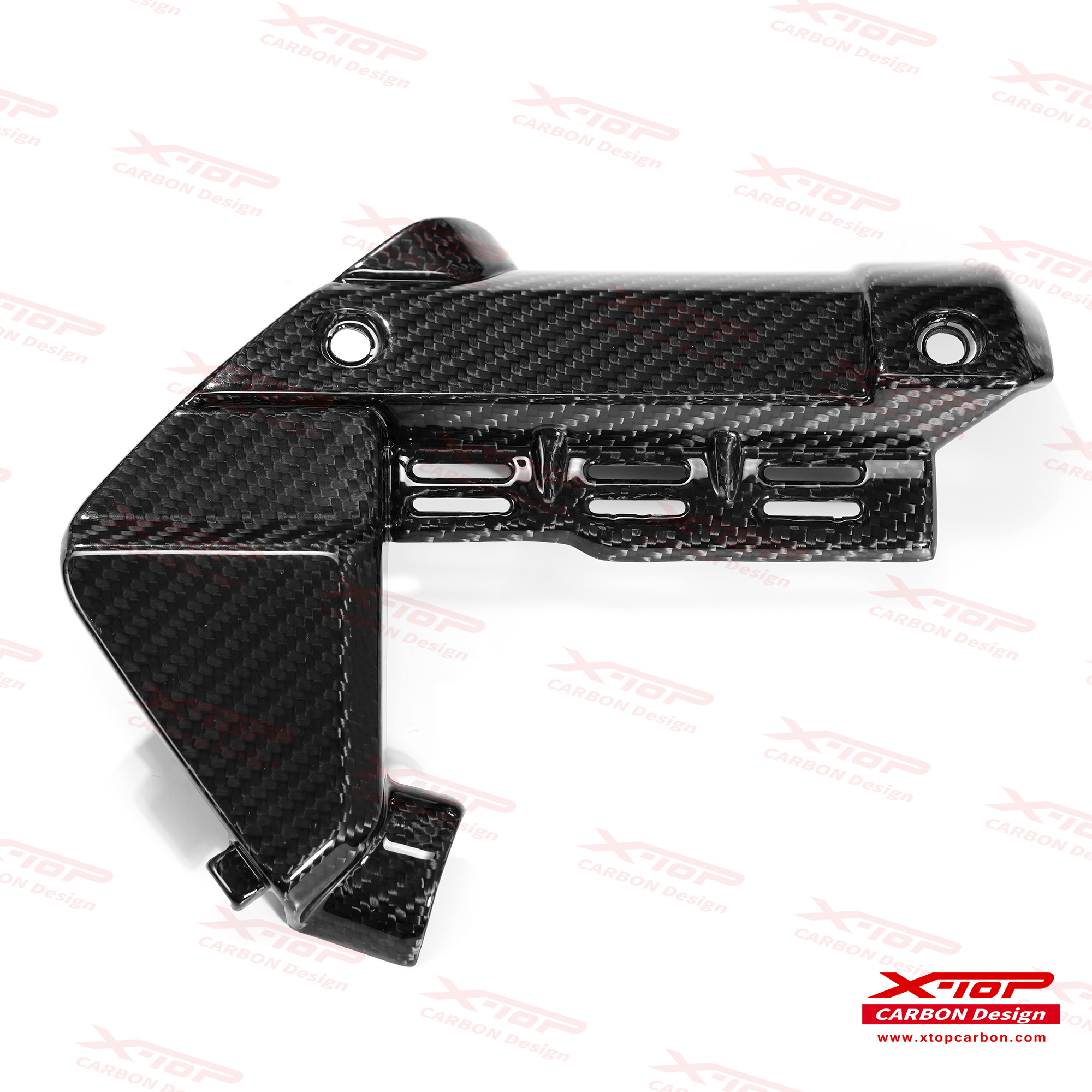 X-TOPカーボントランスミッションケースカバー GOLDWING